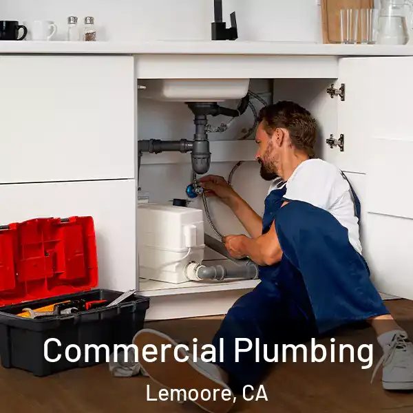  Commercial Plumbing Lemoore, CA