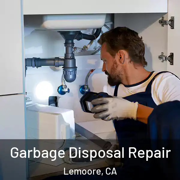  Garbage Disposal Repair Lemoore, CA