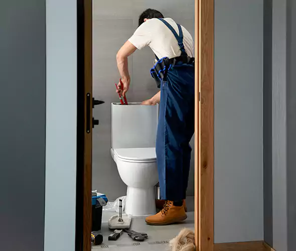 Professional Plumbers for Toilet Bowl Replacement in Lemoore, CA: Schedule Affordable Toilet Replacement Services With Us