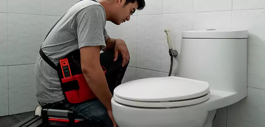 Toilet Repair in Lemoore