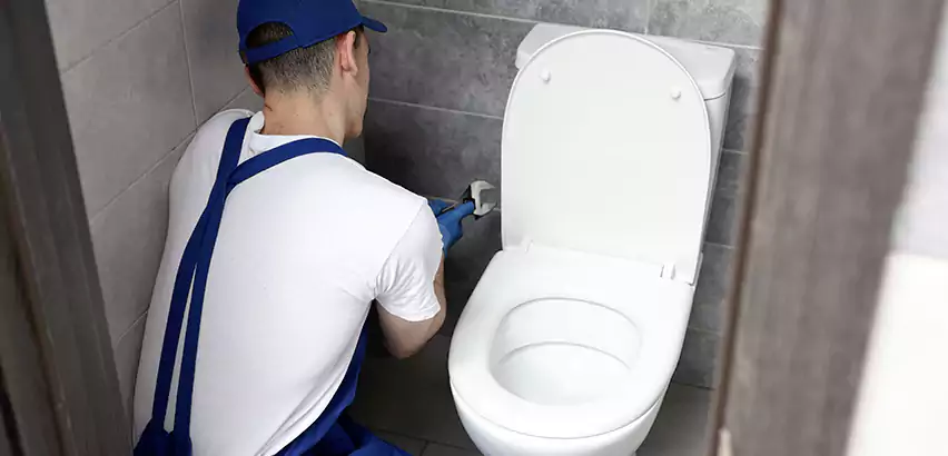 Toilet Lid Replacement in Lemoore