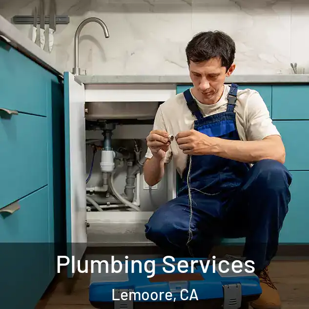 Plumbing Services Lemoore, CA