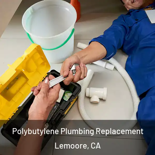  Polybutylene Plumbing Replacement Lemoore, CA