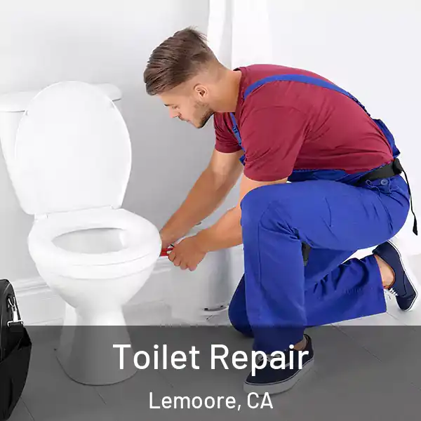  Toilet Repair Lemoore, CA