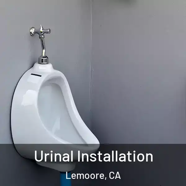  Urinal Installation Lemoore, CA